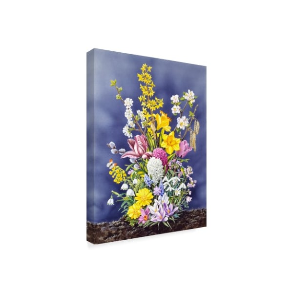 Harro Maass 'Spring Flowers Clouds' Canvas Art,14x19